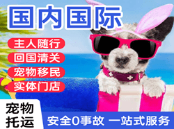 大理凤仪航空快递国际宠物托运 【国